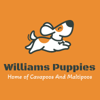 williamspuppies.com